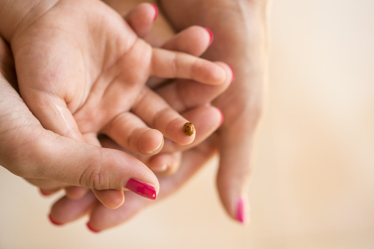 Why Montessori at home?