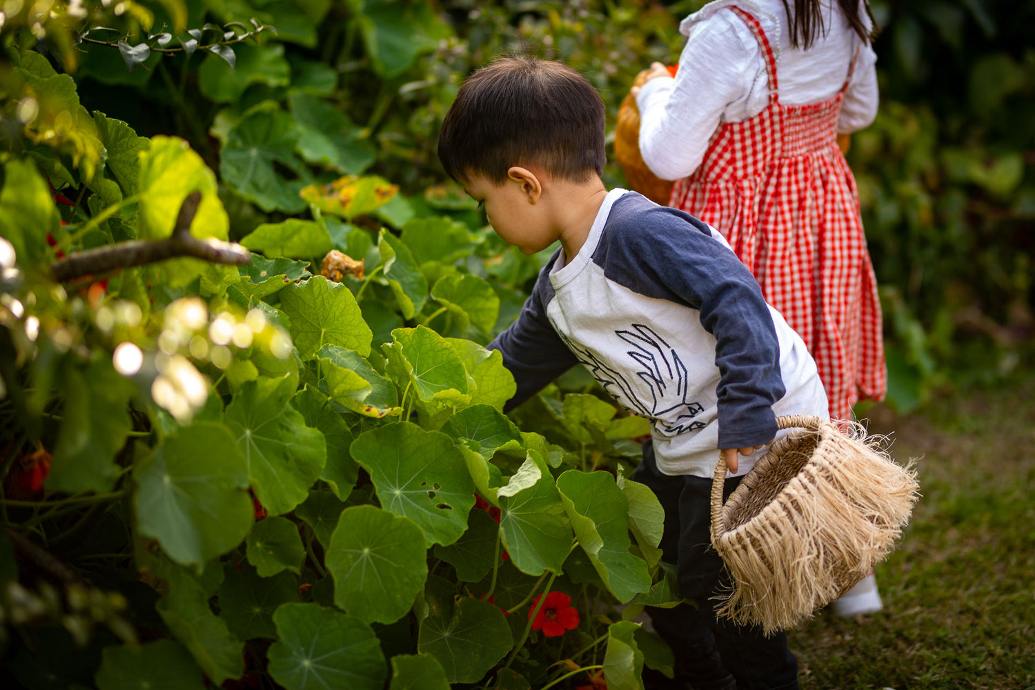 Children picking flowers from the garden with outdoor child sized baskets