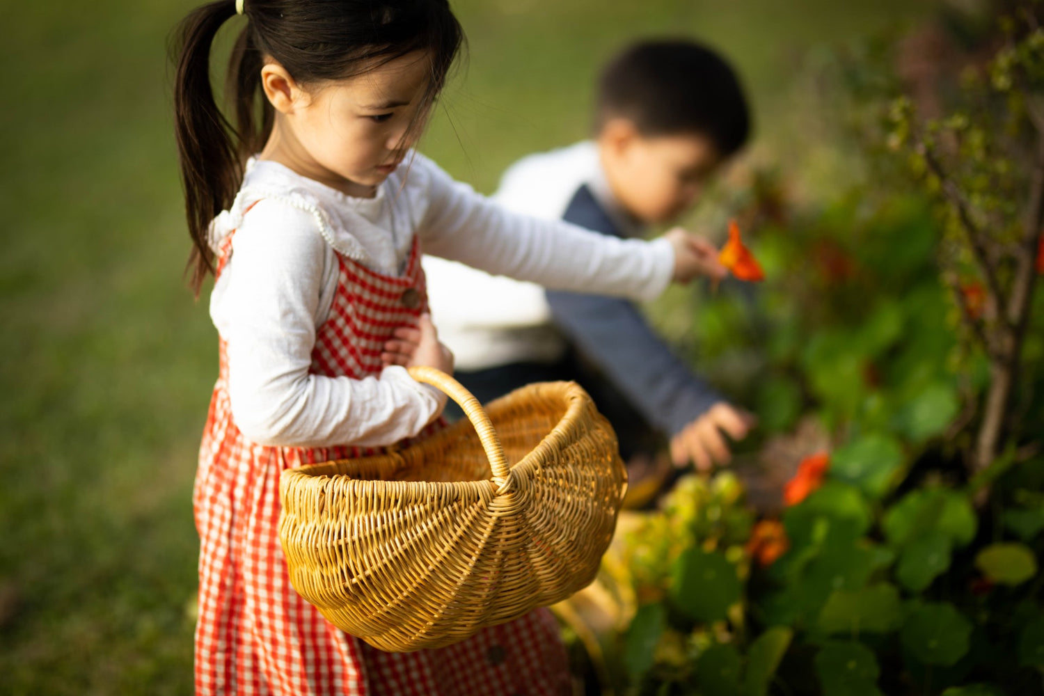 Children picking flowers while holding child sized garden basket